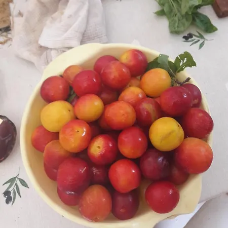 Apartamento Val's Osljak