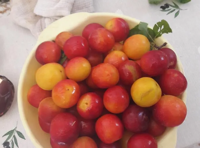 Διαμέρισμα Val's Osljak